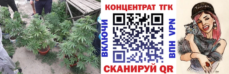 ТГК жижа  Купить закладки  Петухово 